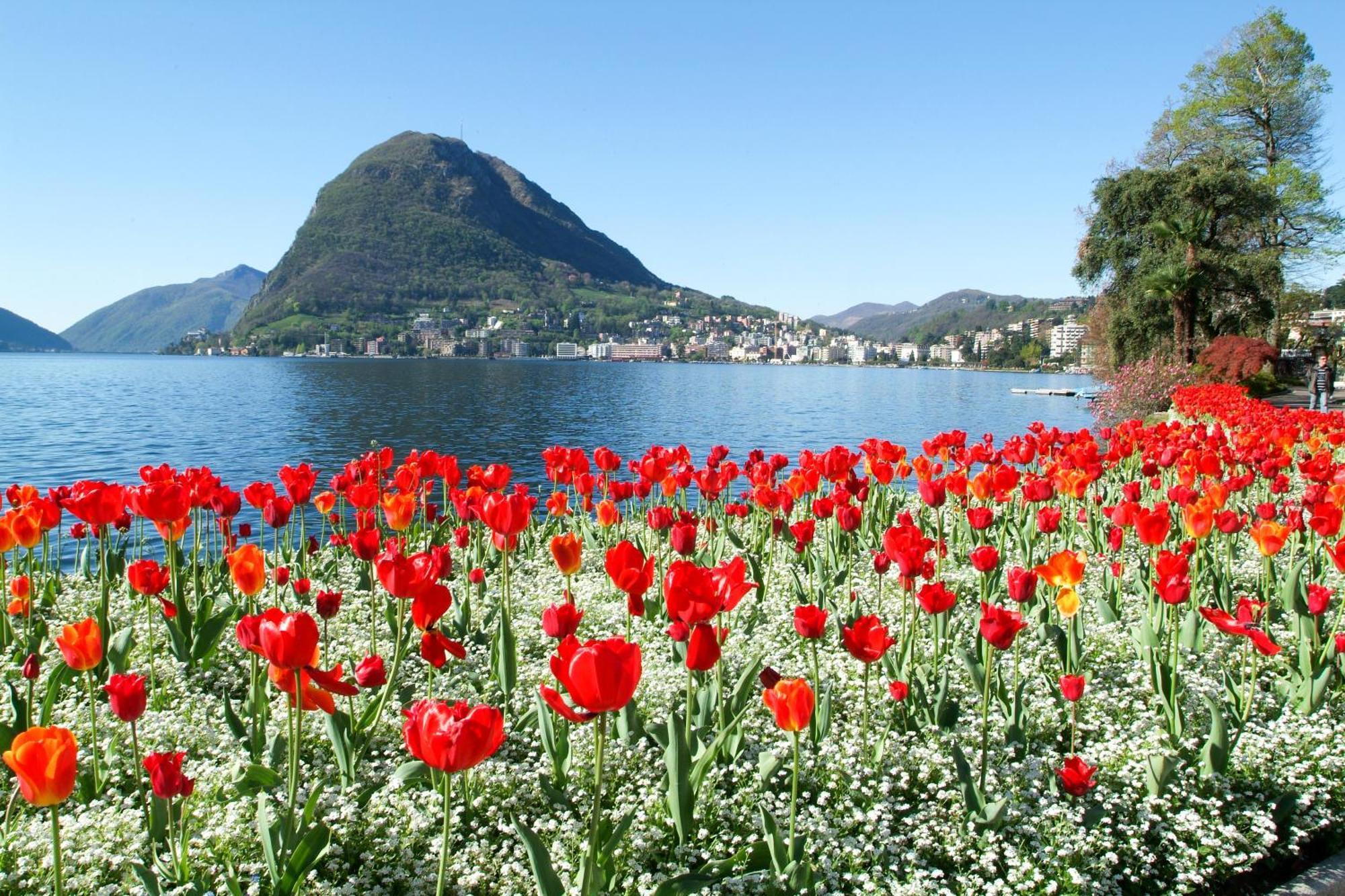Ferienhaus In Lugano - Happy Rentals Экстерьер фото